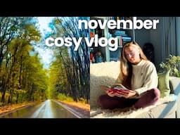 Cosy Reading Vlog | The one where I finally finish the Cosmere