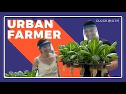 Precision Farming With An Urban Farmer