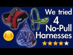 TESTING "NO PULL" HARNESSES | What worked, what didn't