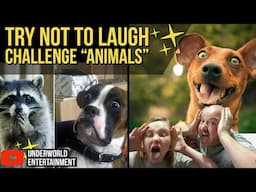 try not to laugh challenge animals reaction - Our popular try not to laugh animals 2020