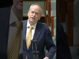 Bill Shorten thanked the PM for giving him the NDIS portfolio during his final speech in parliament.