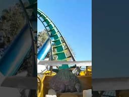 POV: Your on a roller coaster ride with a frog 🐸🎢 #shorts #frog #rollercoaster #greenscreen #alveus