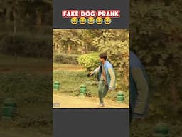 Fake Dog Prank OMG 😳 😂😂😂 #shorts #prank