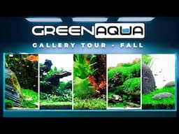 GREEN AQUA Gallery Tour 2024 Fall | Cinematic