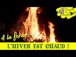 VLOG 24 ~ L'HIVER EST CHAUD ! Les ânesses nous font devenir chèvre, bébés mignons, départ de MERLIN