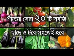 টবে করার মত শীতের সেরা ২০ টি সবজি / Best 20 winter vegetables easy to grow in pot / roof gardening