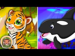 Learn About Animals With The BEST Personalities! | Animal Songs For Kids | KLT WILD