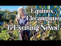 Eqionox, Elecampane & Exciting News