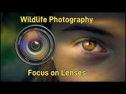 Wildlife Photography Focus on Lenses