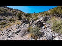 Uncover HIDDEN Miner Cabins High on a Mountain