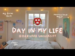 college day in my life as a harvard student