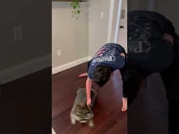 pet raccoon gets spun 🌀🦝