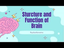 Human Brain| Parts & Functions | Cerebrum & Cerebellum | Neuropsychology