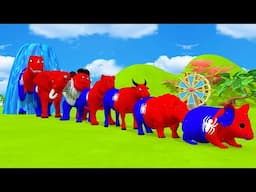 Paint & Animals Duck,Gorilla,Lion,Elephant,Cow,Sheep Fountain Crossing Transformation Animal Cartoon