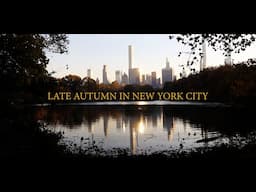 Late Autumn in New York City Cinematic: Slowing Down to Reflect on the Year & Personal Growth