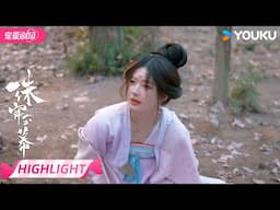 ENGSUB【HIGHLIGHT】💥苏幕遮落入陷阱！ | 珠帘玉幕 The Story of Pearl Girl | 赵露思/刘宇宁 | 优酷宠爱频道 YOUKU ROMANCE