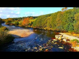 Relaxation HQ stereo sound of slow water flow & birds @ Ballysmuttan Bridge, river Liffey, Ireland.