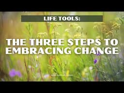 LifeTools: The Three Steps to Embracing Change| davidji