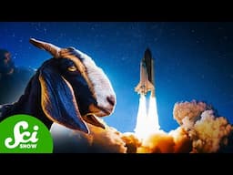 Space, Goats, and Climate Change