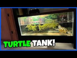 Cheap & Simple TURTLE TANK Setup! (40gal.)