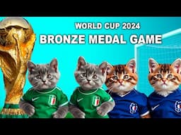 LETS UNLEASH CATS KITTENS WORLD CUP GAME 7! BRONZE MEDAL MATCH