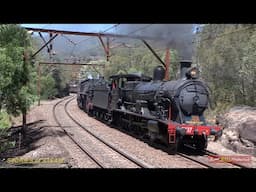 Australian steam locomotives 3237 & 5917 double heading up Cowan bank - November 2014