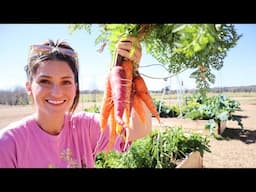 Winter Garden Harvest! | North Florida Gardening