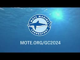 Mote Giving Challenge 2024