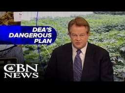 Dangers of Marijuana | News on The 700 Club: November 21, 2024