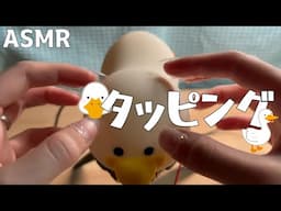 【ASMR】シリコン製のアヒルちゃん照明をタッピングする/Tapping