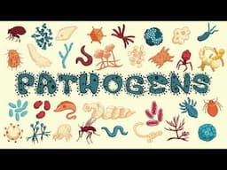 What Is A Pathogen?