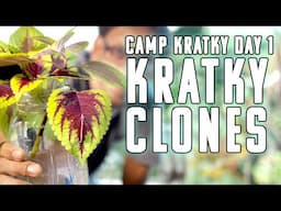 Camp Kratky Day 1 Cloning For Beginners The Best Starter Hydroponic Garden