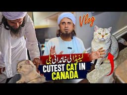 Cutest Cat In Canada - Mufti Tariq Masood Vlogs