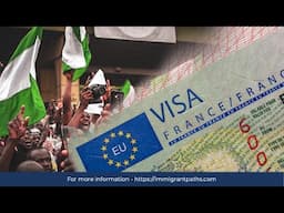 €8.4M Spent by Nigerians on Schengen Visas Despite High Rejections!