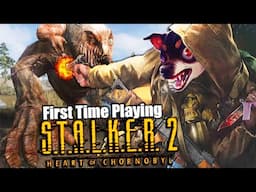 NEW Horror FPS "S.T.A.L.K.E.R. 2" (I've never played one...)