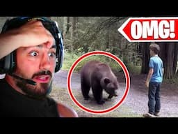 The Scariest Animal Encounters Ever Recorded!