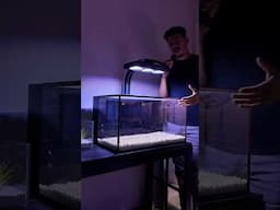 Setting up a 20 gallon reef tank!