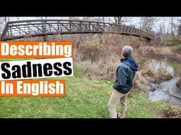 Learn How To Describe Being Sad from Missing Someone or Something in English