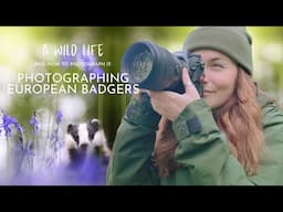 Everything you ever needed to know about badgers AND how to photograph them! 📸 🦡