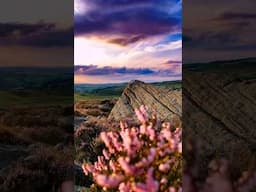 When purple season in the Peak District is just around the corner 💜🪻😍