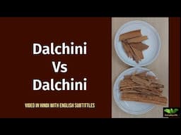 Dalchini Vs Dlachini | Cassia Vs Cinnamon | दालचीनी | Dalchini for Diabetes -Everyday Life #344