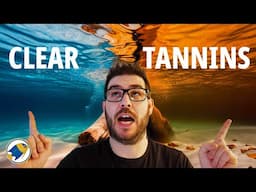 The Hidden Benefits of Tannins in Your Aquarium (All The Facts)