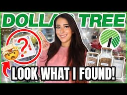 20 *NEW* Dollar Tree Items You DON'T want to miss this October 2024