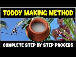 Toddy Making Process | Toddy Tapping , Fermentation & Processing