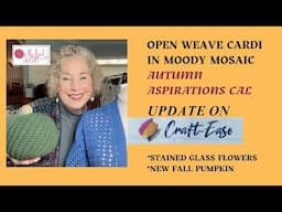 Open Weave Cardi #2 --Autumn Aspirations Progress --New FALL Pumpkin -- New YARNS - Happy Fall!