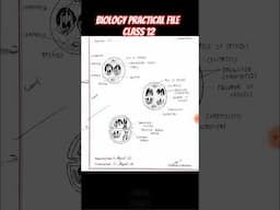 Biology practical file class 12 ,#bio shorts,#bio trending file #bio 2025 shorts #biostudies