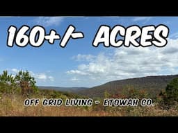 Rock Bridge Lookout - Off Grid - 160 Acres Land For Sale in Alabama