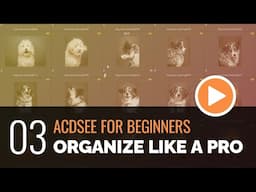 ACDSee for Beginners - 03 - Organize Like a Pro with Manage Mode