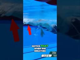 Unlocking SWIMMING TECHNIQUES for Winning Races!