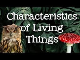 5 Characteristics of Living Organisms: Qualities of Living Things for Kids - FreeSchool